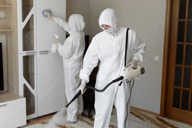 Best HVAC Mold Remediation in Privateer, SC