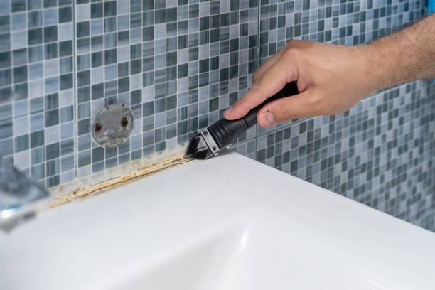 Best Commercial Mold Remediation in Privateer, SC